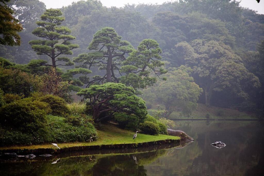 Tora Hotel Tokyo-Rikugienn 寅ホテル 六義園 A Екстер'єр фото